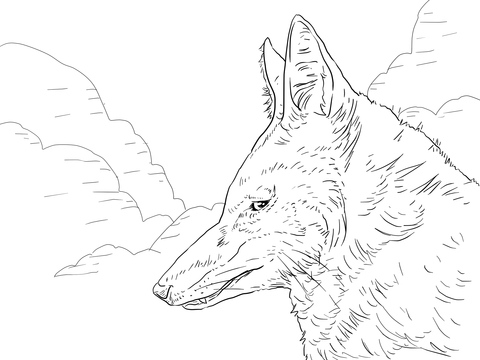 Ethiopian Wolf Head Coloring Page